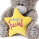Медвежонок Тедди со звездой Someone special 15 см  (AP701021)