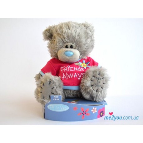 Мишка Тедди в футболочке Friends always (G01W2080)