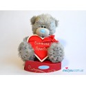 Мишка Тедди с сердцем-плакатом Someone special (G01W2042)