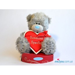 Мишка Тедди с сердцем-плакатом Someone special (G01W2042)