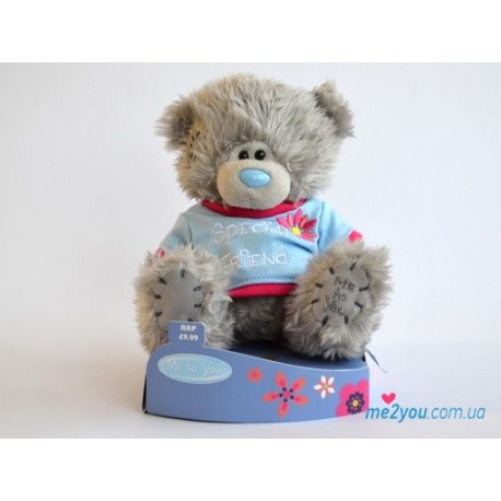 Мишка Тедди в фуболочке Special friend (G01W2084)