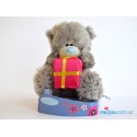 Мишка Тедди с подарком (G01W2085)