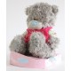 Мишка Тедди в футболочке Someone special (G01W2252)