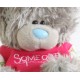 Мишка Тедди в футболочке Someone special (G01W2252)