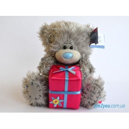 Мишка Тедди с подарком (G01W2090)