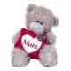 Мишка Ми ту ю с подушкой Wonderful Mum в лапах 18 см (G01W3751)