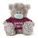 Мишка Тедди в кофточке с надписью Special friend 18 см (G01W3752)