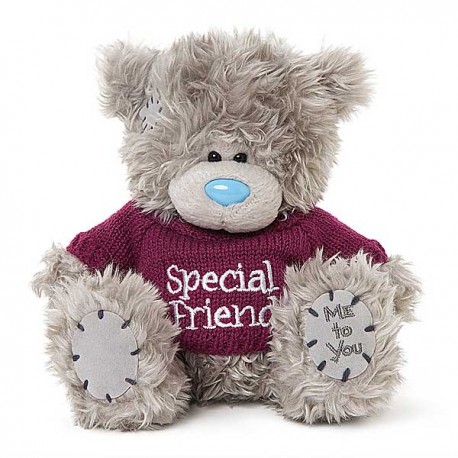 Мишка Тедди в кофточке с надписью Special friend 18 см (G01W3752)