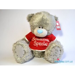 Мишка Тедди в футболке Someone special (G01W2051)